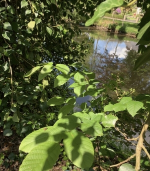 Leisure Land Bordered by a River