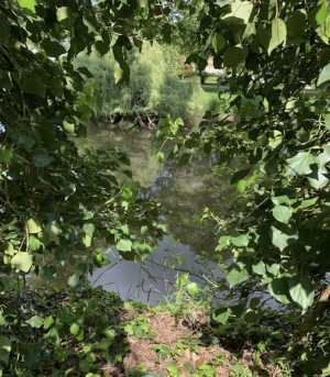 Leisure Land Bordered by a River