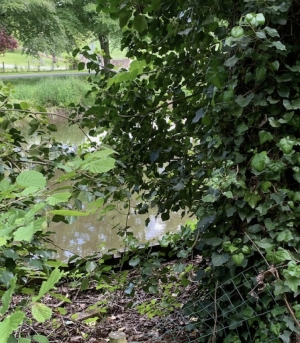 Leisure Land Bordered by a River