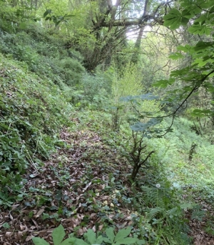 Leisure Land Bordered by a River