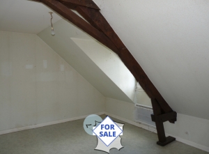 Vast Period Property with Income Potential