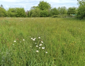 Building Plot For Sale with Countryside Views