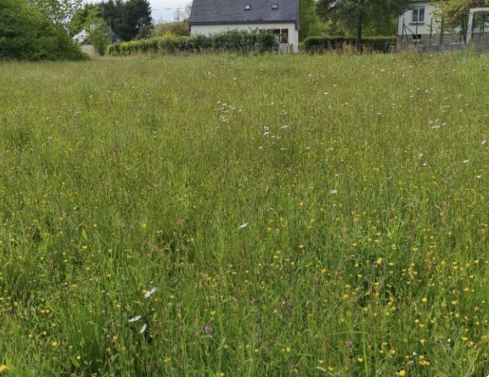 Building Plot For Sale with Countryside Views