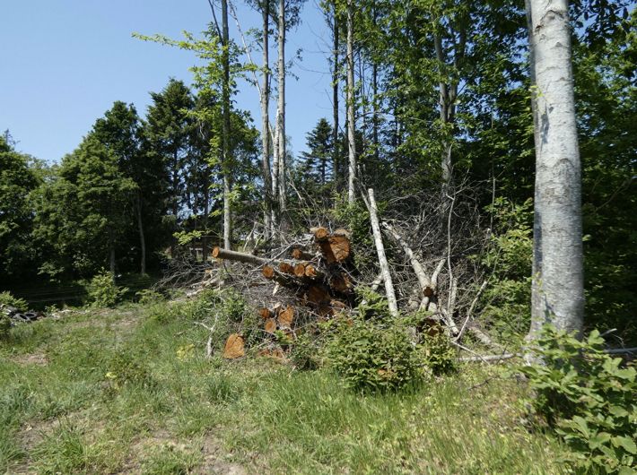 Building Land For Sale