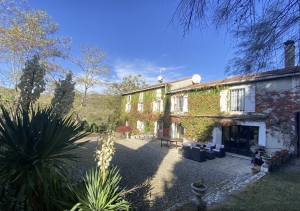 Detached House With Gites, Swimming Pool and Land