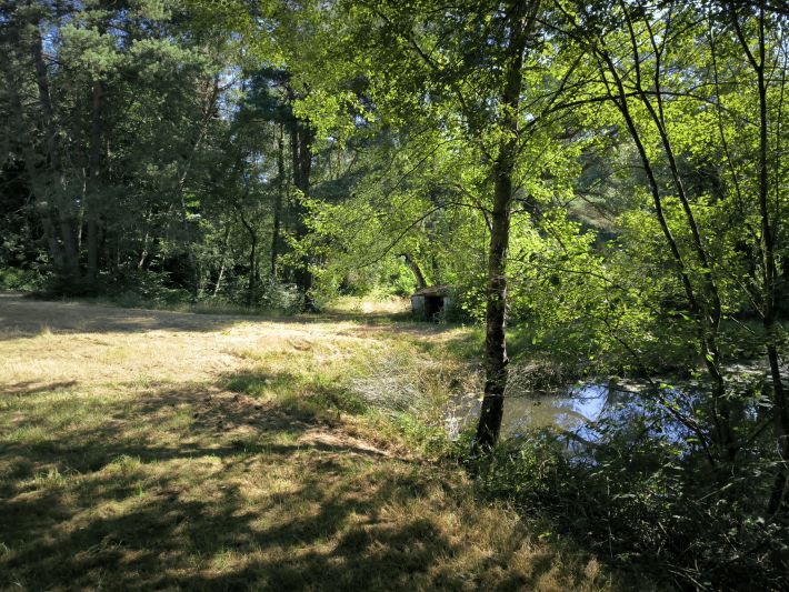 Beautiful, Peaceful Fishing Lake in 3.8 Hectare of Countryside