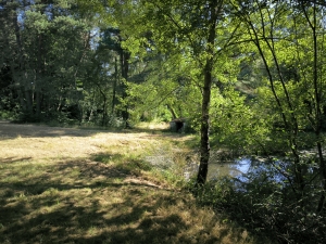 Beautiful, Peaceful Fishing Lake in 3.8 Hectare of Countryside