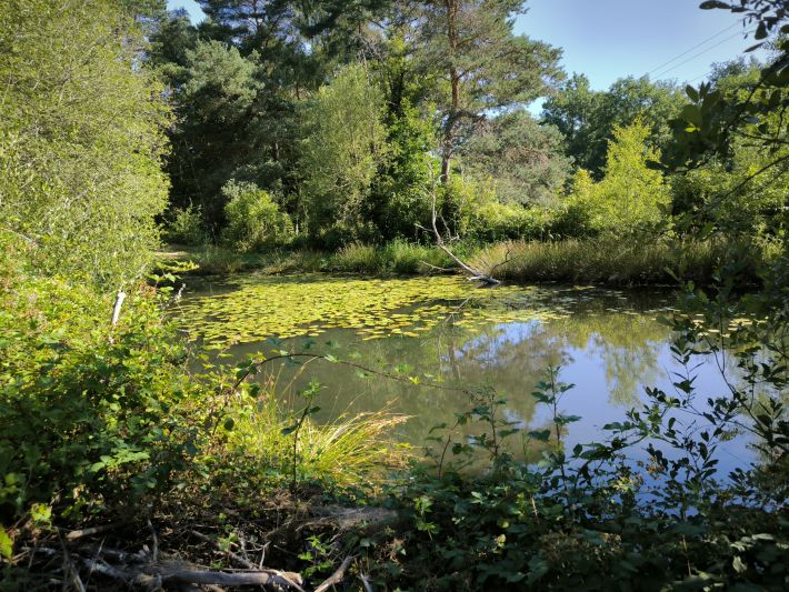 Beautiful, Peaceful Fishing Lake in 3.8 Hectare of Countryside