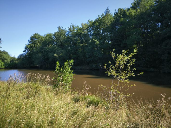 Beautiful, Peaceful Fishing Lake in 3.8 Hectare of Countryside