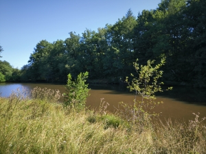 Beautiful, Peaceful Fishing Lake in 3.8 Hectare of Countryside