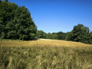 Beautiful, Peaceful Fishing Lake in 3.8 Hectare of Countryside