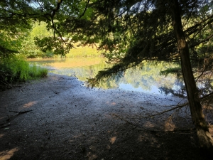 Beautiful, Peaceful Fishing Lake in 3.8 Hectare of Countryside
