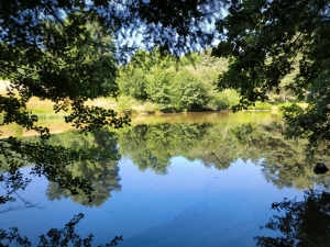 Beautiful, Peaceful Fishing Lake in 3.8 Hectare of Countryside