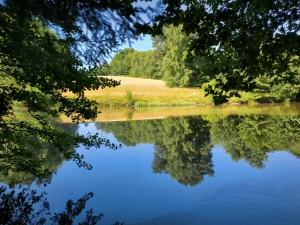 Beautiful, Peaceful Fishing Lake in 3.8 Hectare of Countryside
