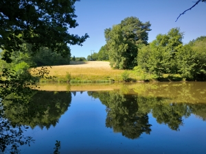 Beautiful, Peaceful Fishing Lake in 3.8 Hectare of Countryside
