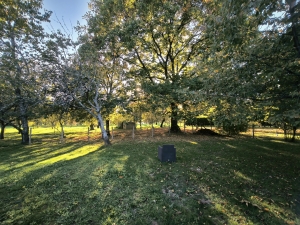 Detached Country House with Garden