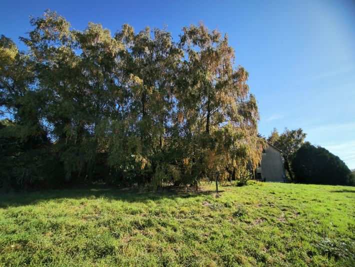 Detached Country House with Open Views