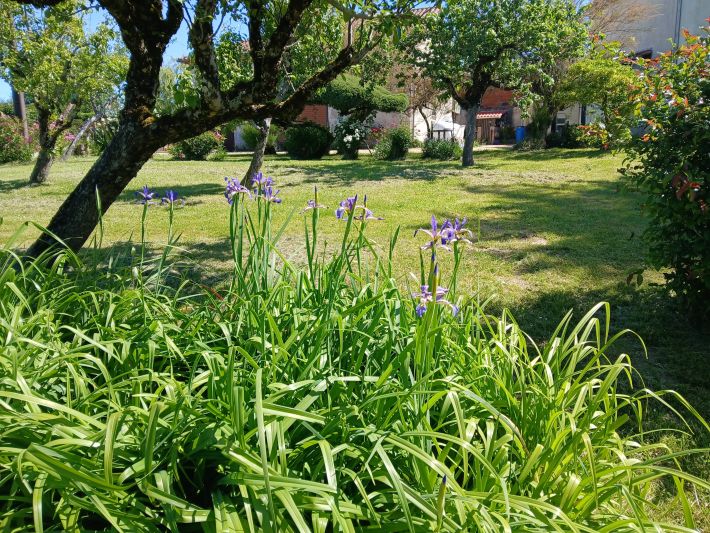 Detached House with Barn, Private Garden and Open View