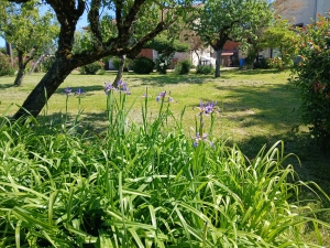 Detached House with Barn, Private Garden and Open View