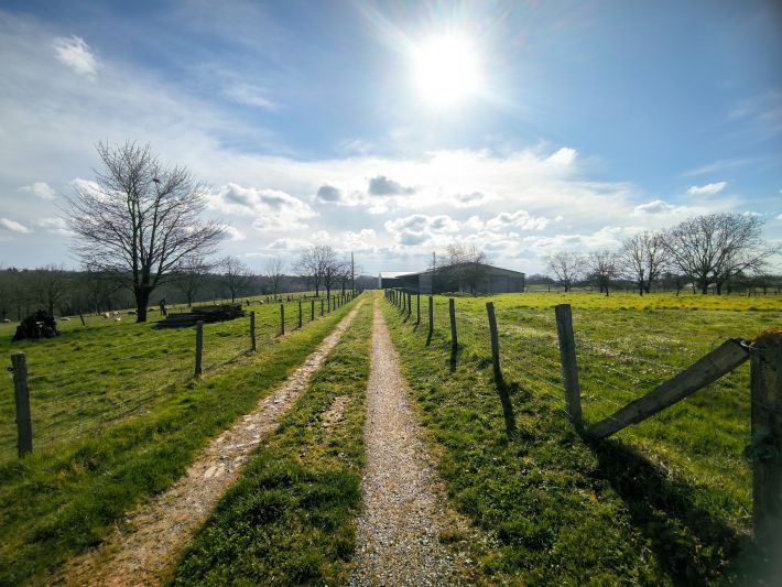 Farmhouse with Outbuildings and 20 Hectares of Land