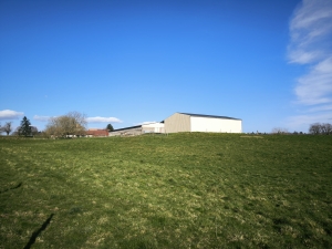 Farmhouse with Outbuildings and 20 Hectares of Land