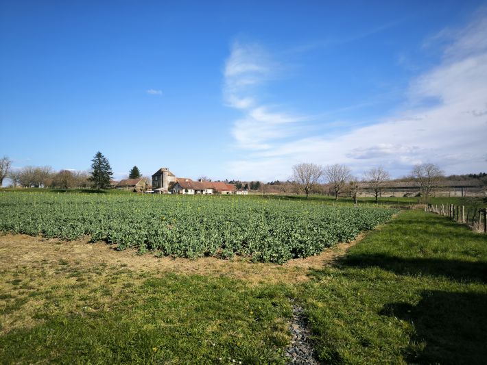 Farmhouse with Outbuildings and 20 Hectares of Land