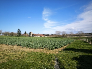 Farmhouse with Outbuildings and 20 Hectares of Land