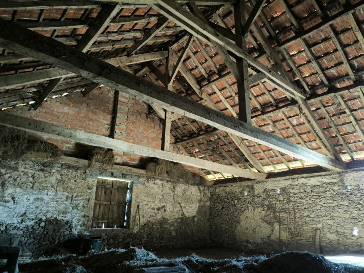 Farmhouse and Two Barns on One Hectare of Land