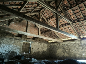 Farmhouse and Two Barns on One Hectare of Land