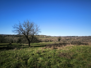Farmhouse and Two Barns on One Hectare of Land
