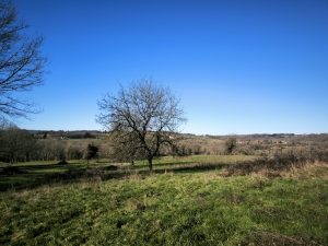Farmhouse and Two Barns on One Hectare of Land