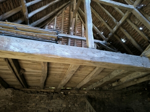 Farmhouse and Two Barns on One Hectare of Land