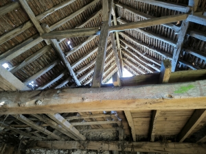 Farmhouse and Two Barns on One Hectare of Land