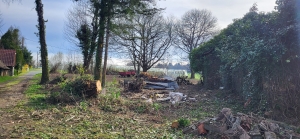 Former Farmhouse and Barn on Half an Acre