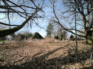 Former Farmhouse and Barn on Half an Acre