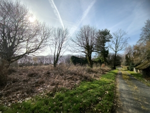 Former Farmhouse and Barn on Half an Acre