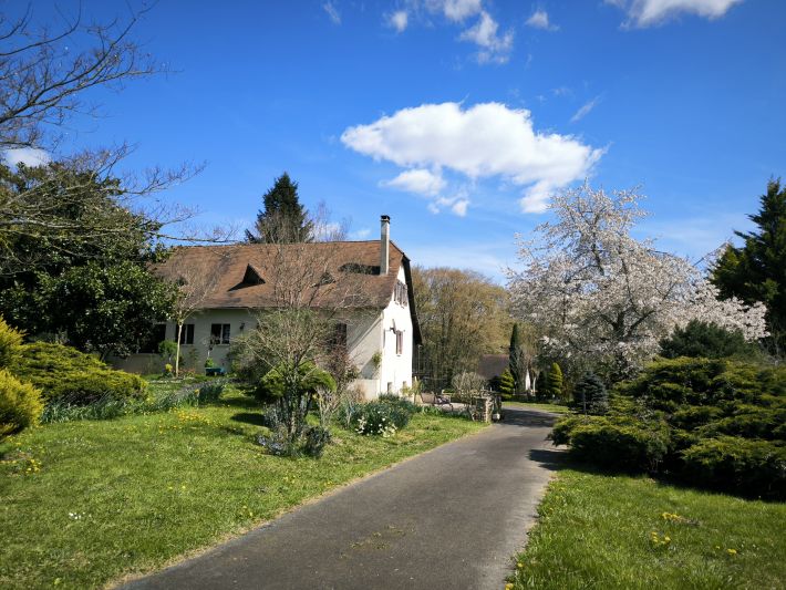 Detached Country House with Swimming Pool