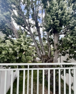 Apartment in Great Location