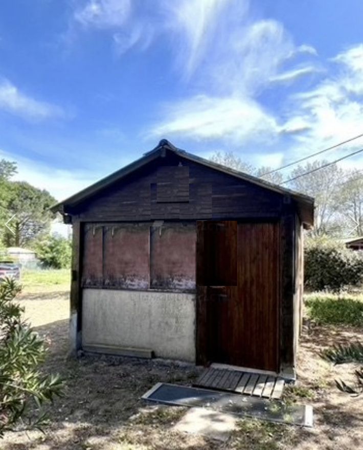 Main Photo