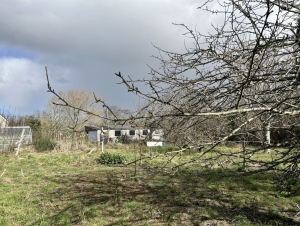 Detached House with Garden by the Coast