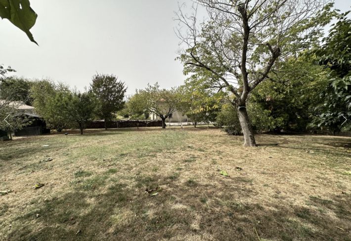 Main Photo