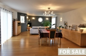 Contemporary Detached House by the Coast