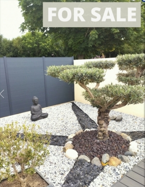 Contemporary Detached House by the Coast