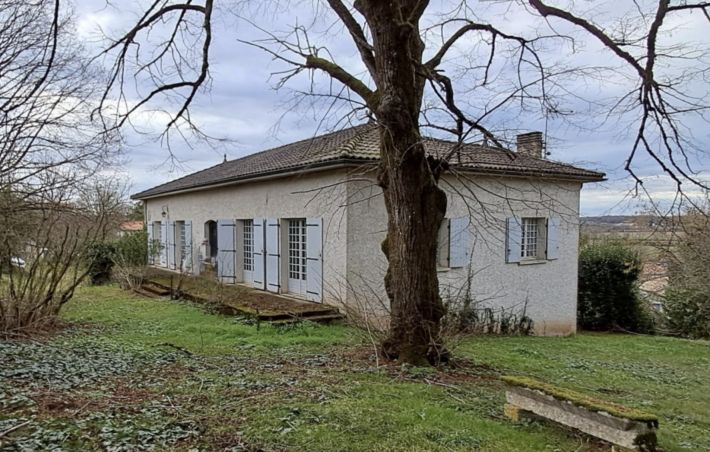 Main Photo