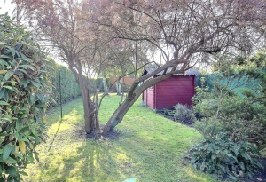 Superb Village House with Neat Garden