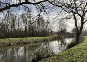Detached Country House with Direct Access to River