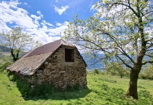 Detached Barn with Breathtaking View of the Valley