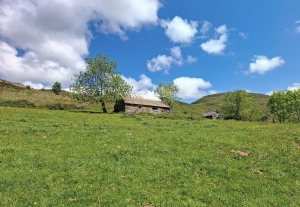 Detached Barn with Breathtaking View of the Valley