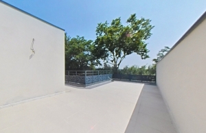 Contemporary Detached House