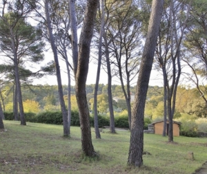 Detached Villa with Pool and Landscaped Grounds